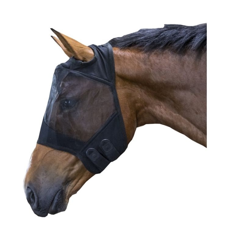 TE073010_P_WO.jpg