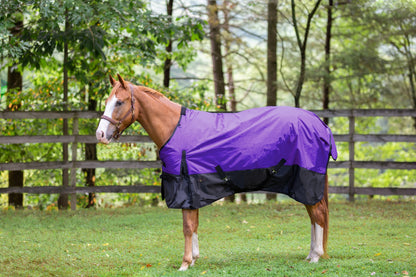 TE073053_purple.jpg