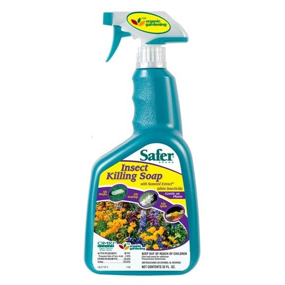 Safer Insect Killing Soap