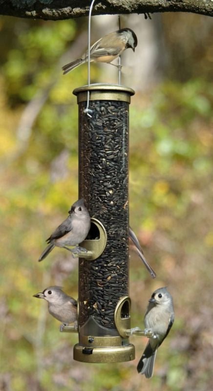 Medium Seed Tube Bird Feeder