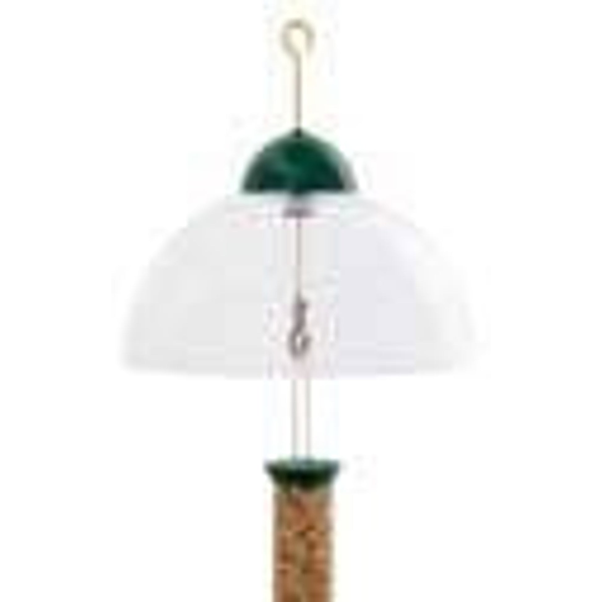 Droll Yankees Squirrel Guard