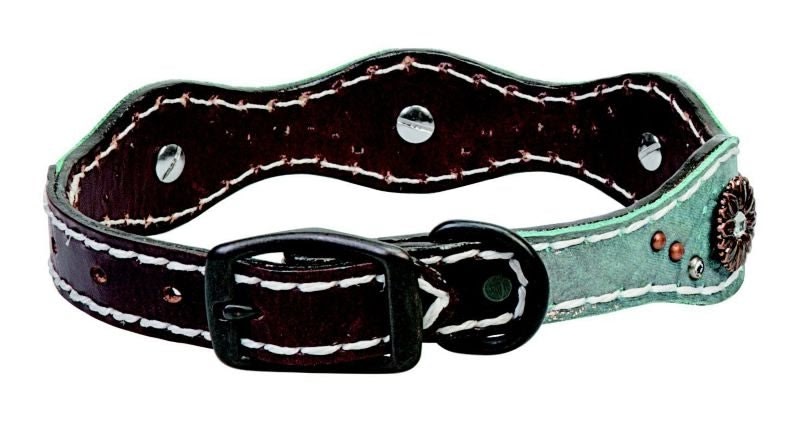 Weaver Savannah 1in Collar