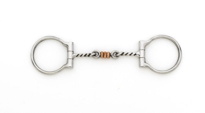 Stainless Steel Twisted 3-Piece D-Ring Bit 5