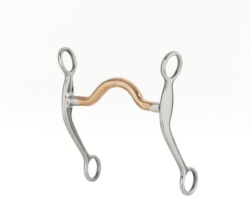 Stainless Steel Engraved Copper Arch Curb Bit 5