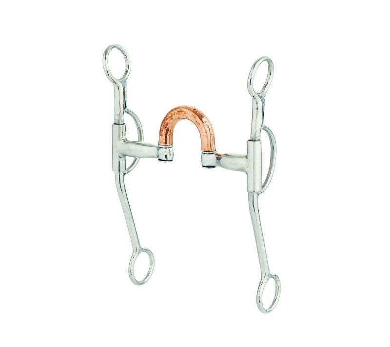 StainSteel Sweet Iron Correct L Double Train Bit 5