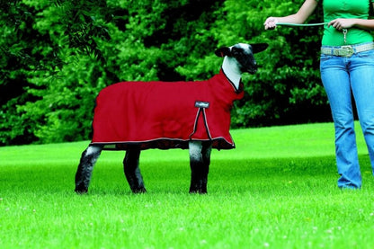 ProCool Mesh Sheep Blanket