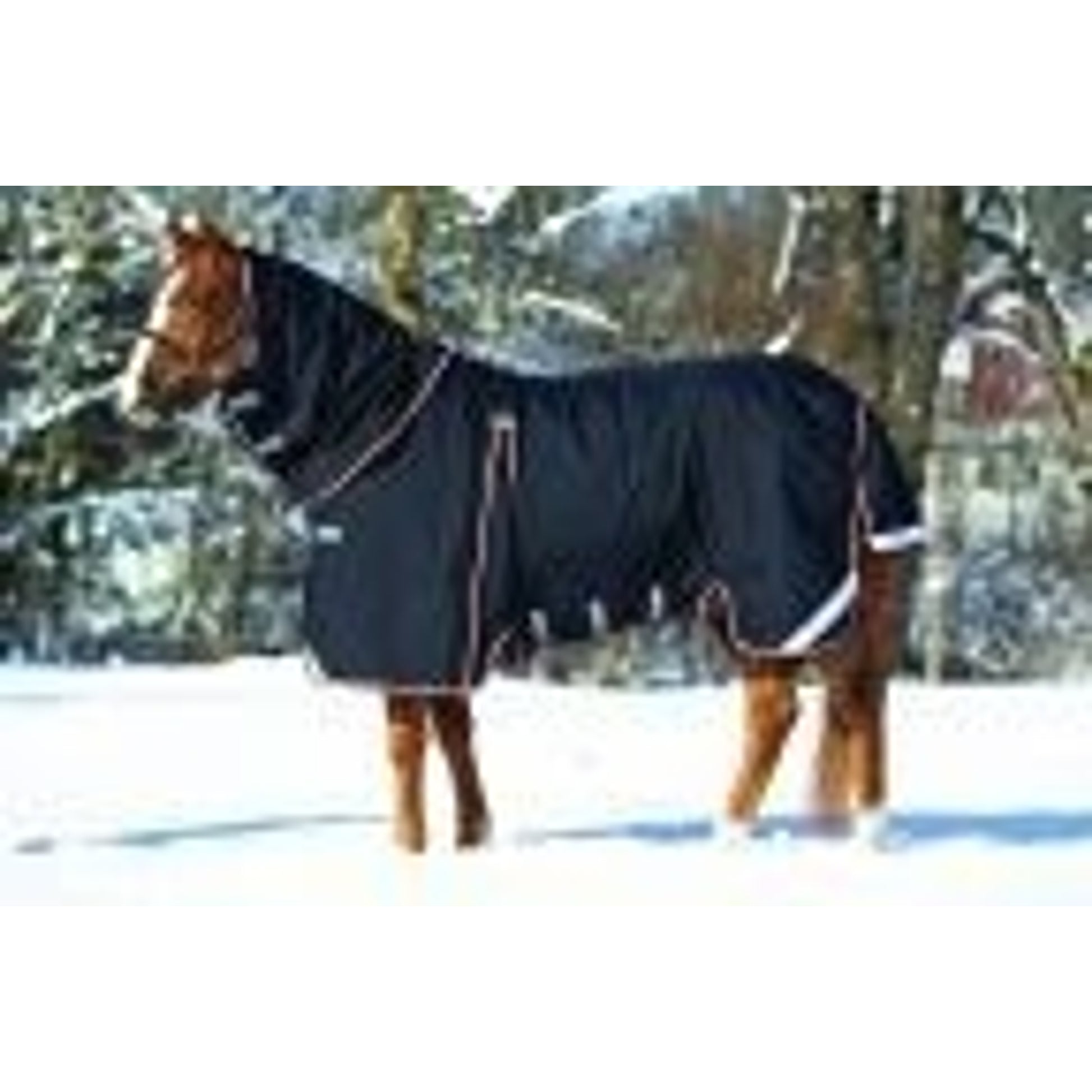 Rambo Optimo Turnout 66 Black/Orange/Black