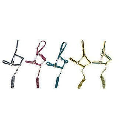 Amigo Headcollar Cob Navy/Silver