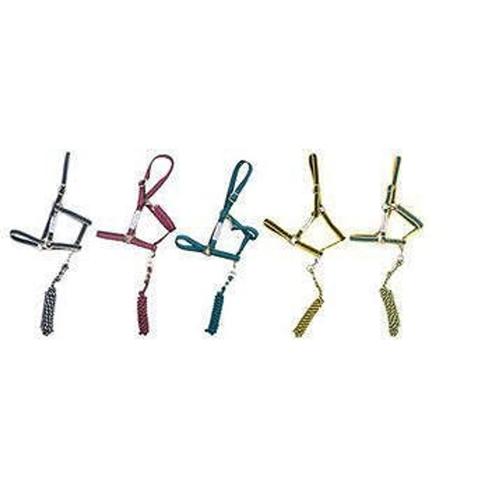 Amigo Headcollar Cob Navy/Silver