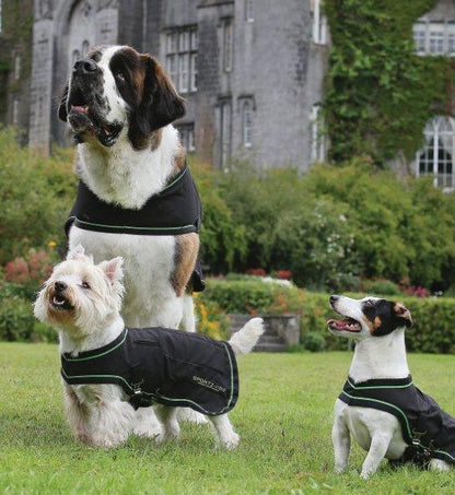 Sportz-Vibe Dog Blanket