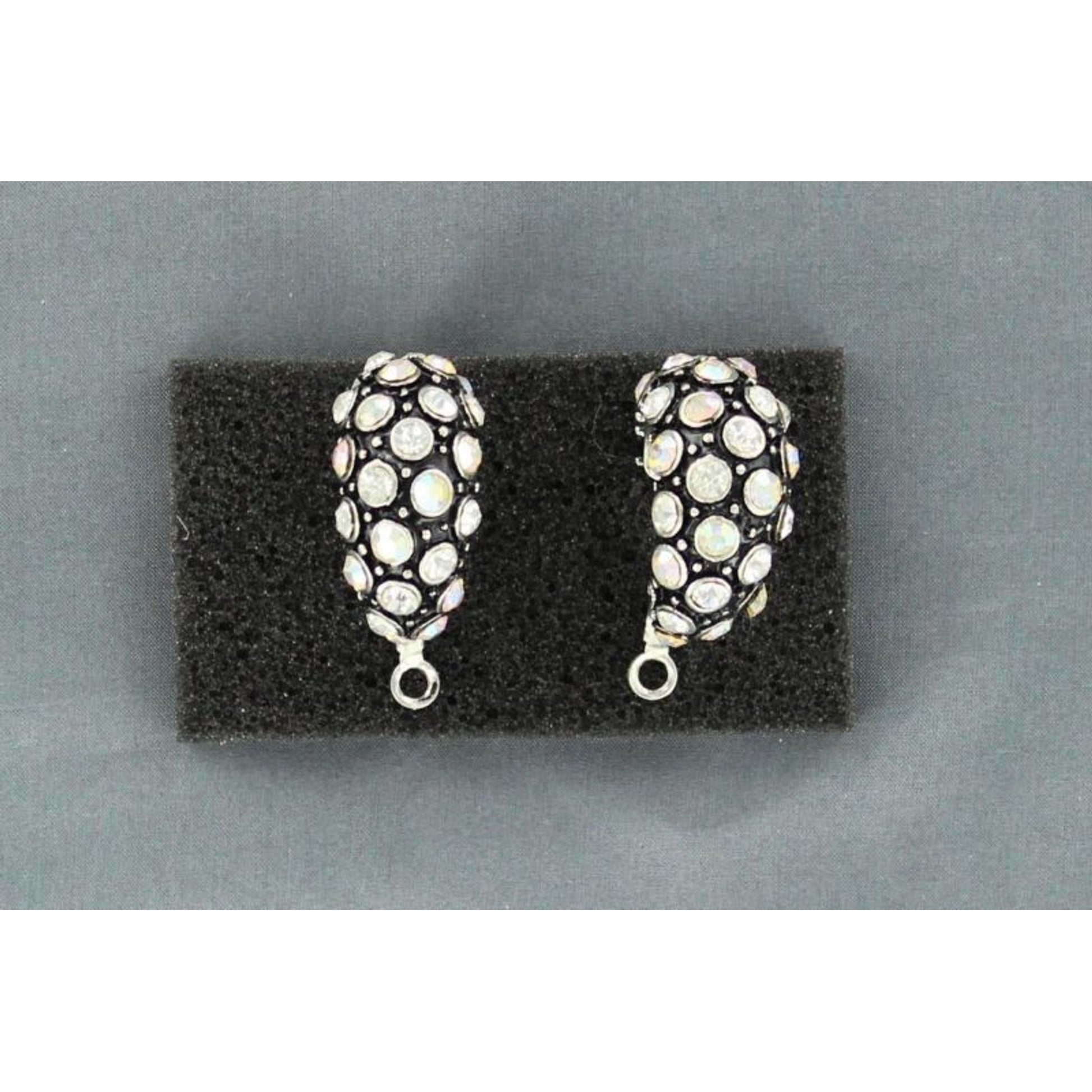 Blazin Roxx Crystal Hoop Earrings