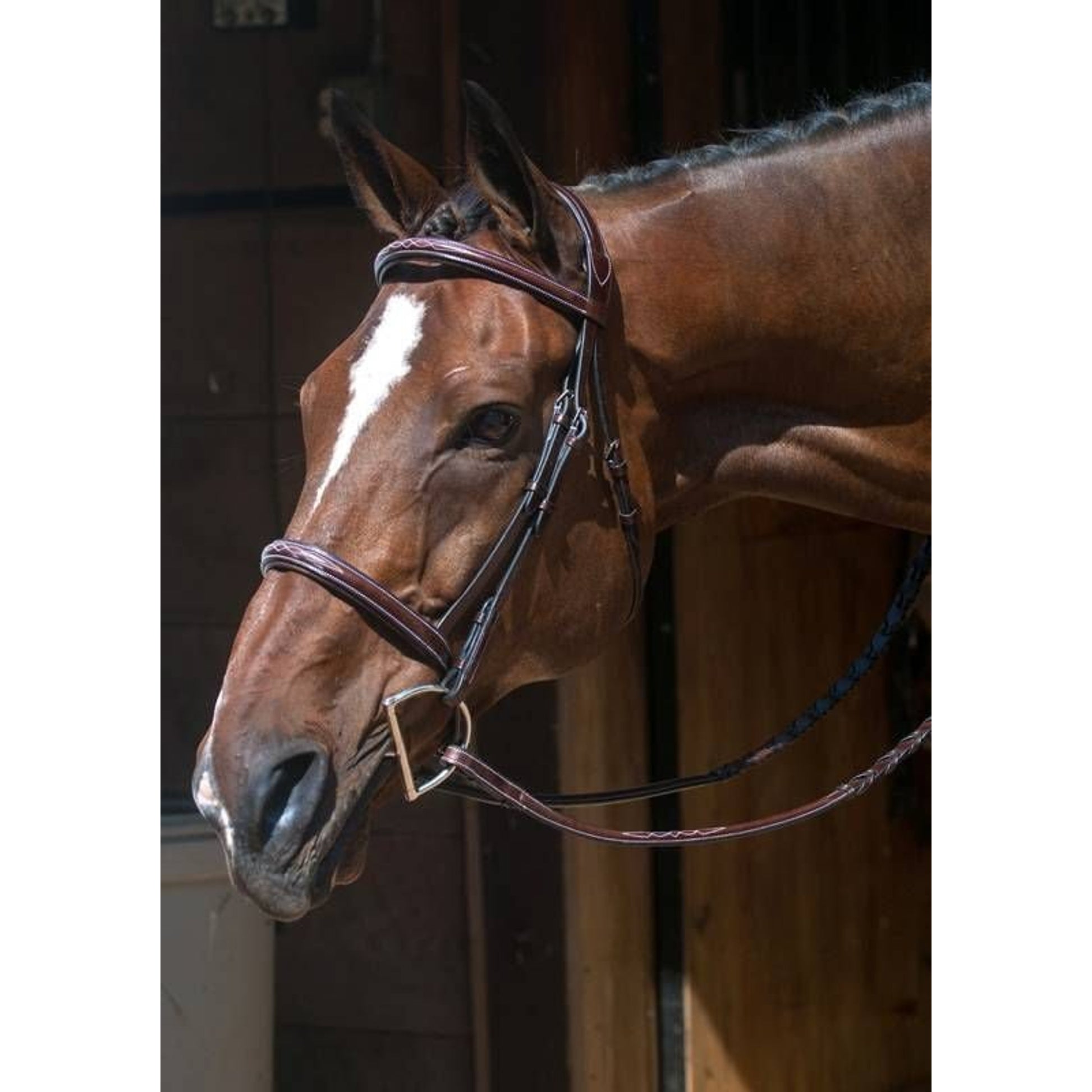 Nunn Finer Florence Bridle Cob Havana