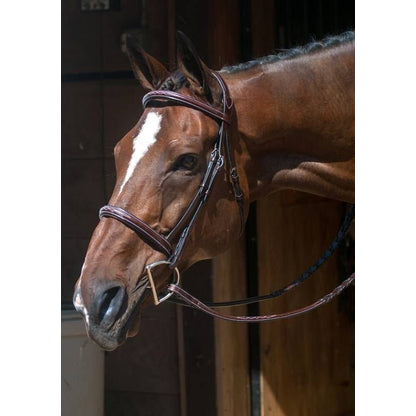 Nunn Finer Florence Bridle Cob Havana