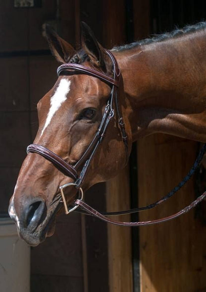 Nunn Finer Florence Bridle Cob Havana