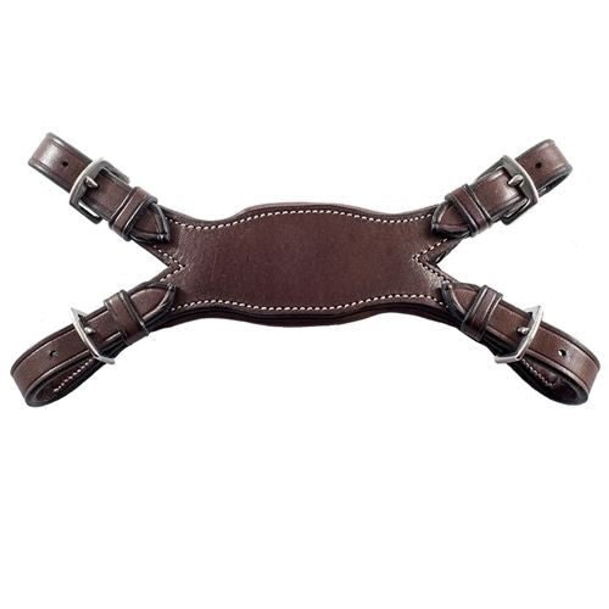Nunn Finer Bella Donna American Martingale Havana