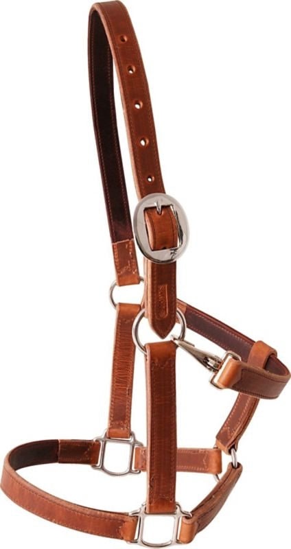Martin Harness Leather Halter Brown