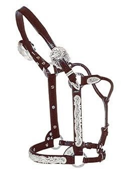 Licou Yearling Marron Licou (halter) Western Circle Y Cuir Marron Avec Argent - Taille S (pour Yearling) - Occasion Chateau Yquem Licou Yearling Marron Licou (halter) Western Circle Y Cuir Marron Avec Argent - Taille S (pour Yearling) - Occasion Chateau Yquem