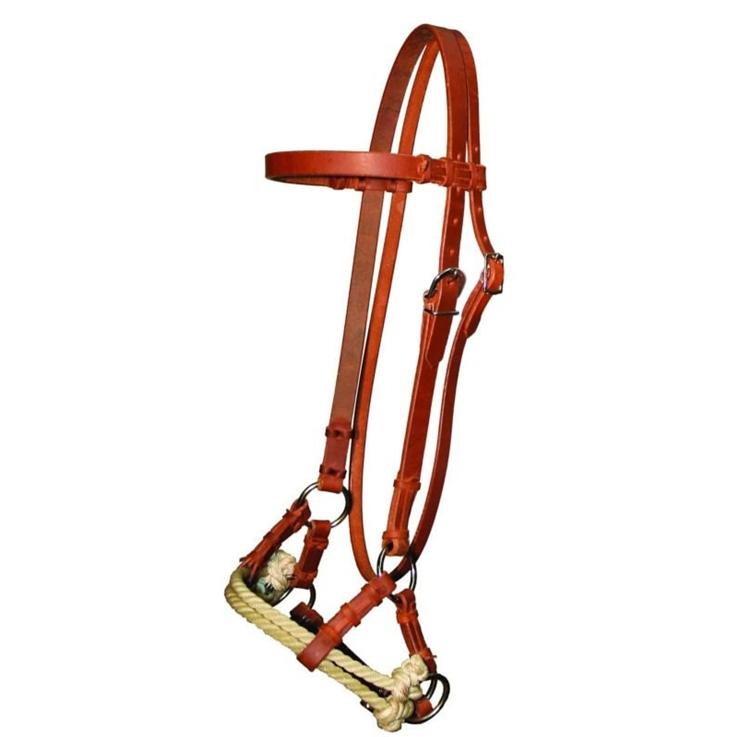 TH1293456.jpg
