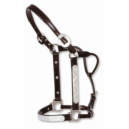 Circle Y Engraved Show Halter Yearling Dark Oil