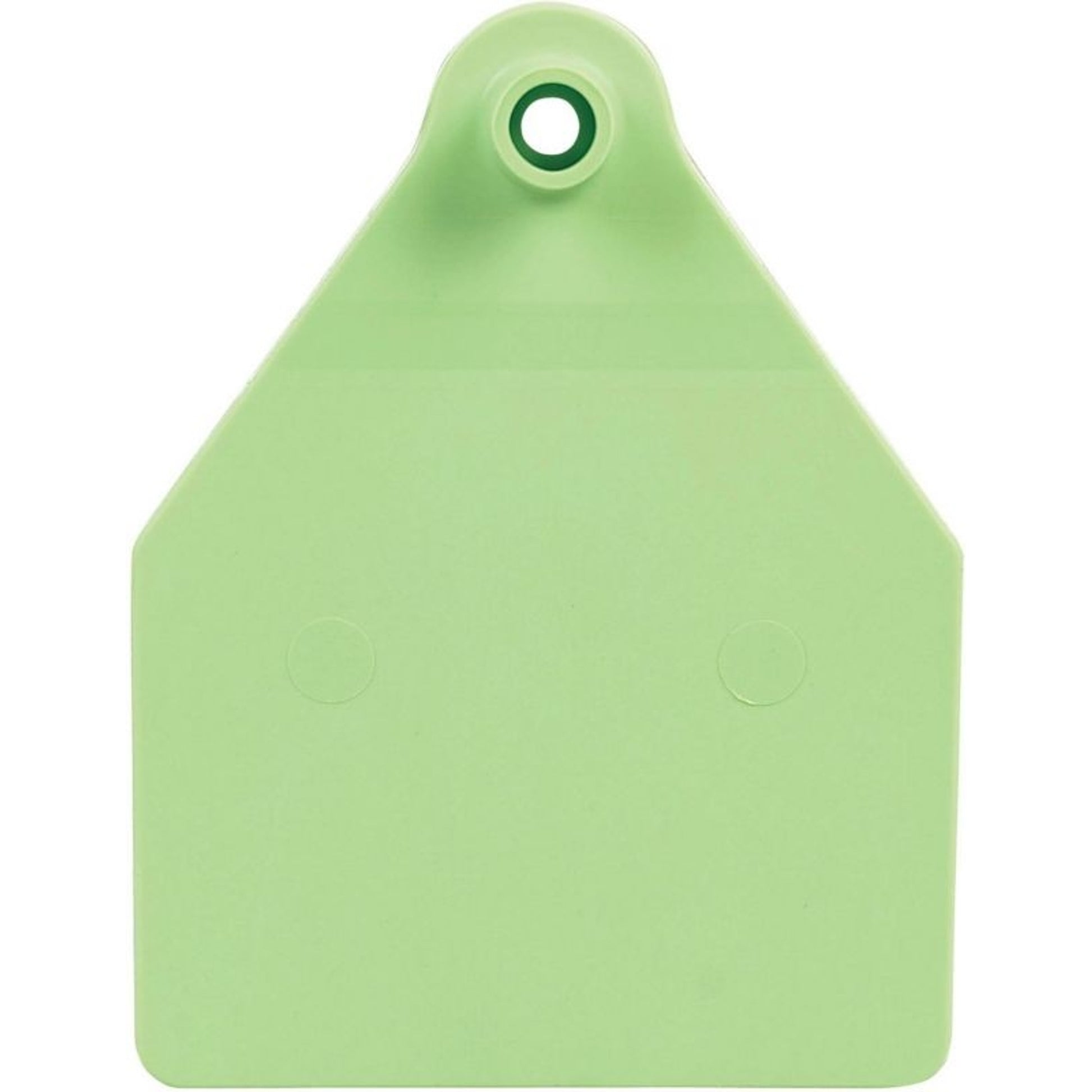 Agrilabs Maxi Agritag Tag Blank Green