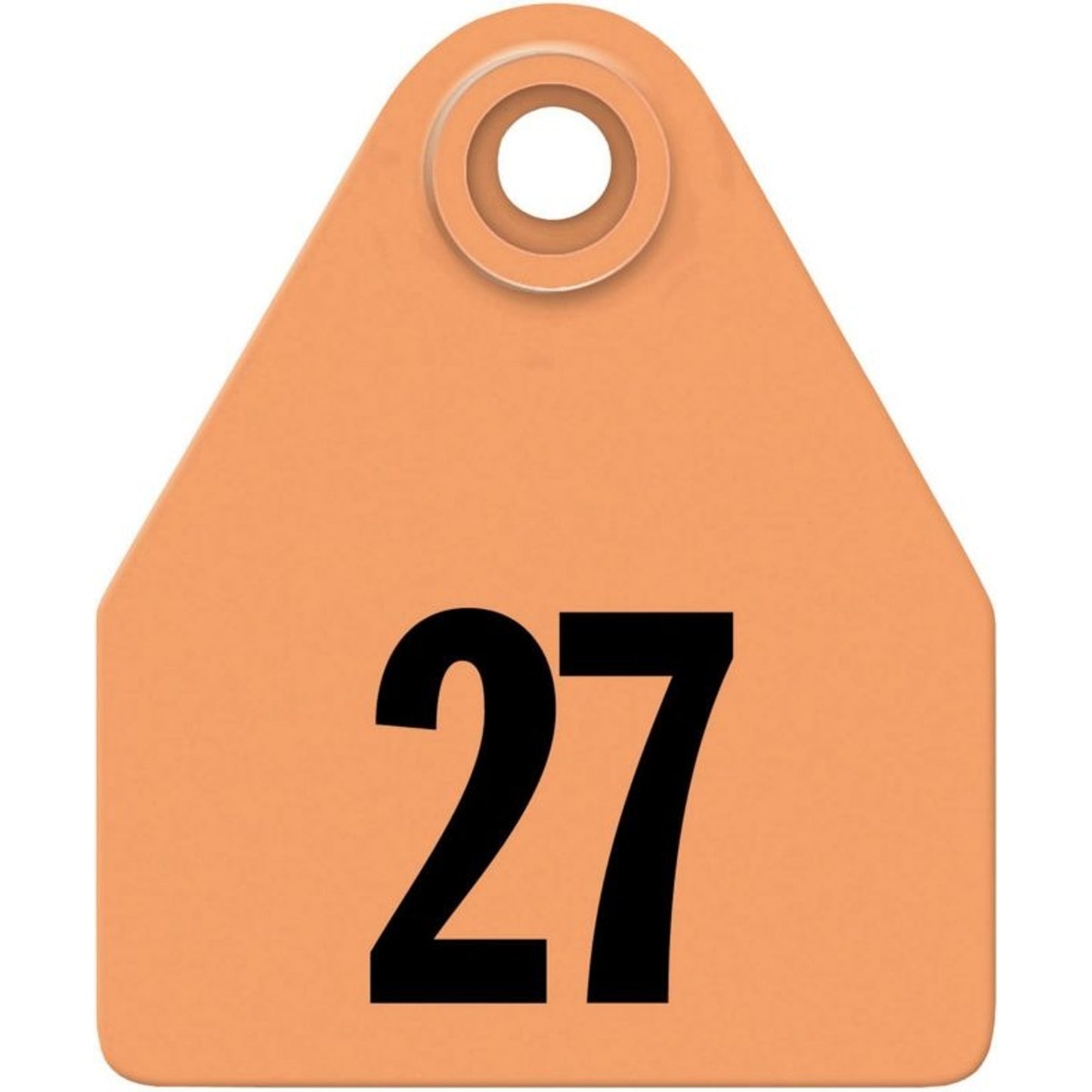 TH1296825.jpg