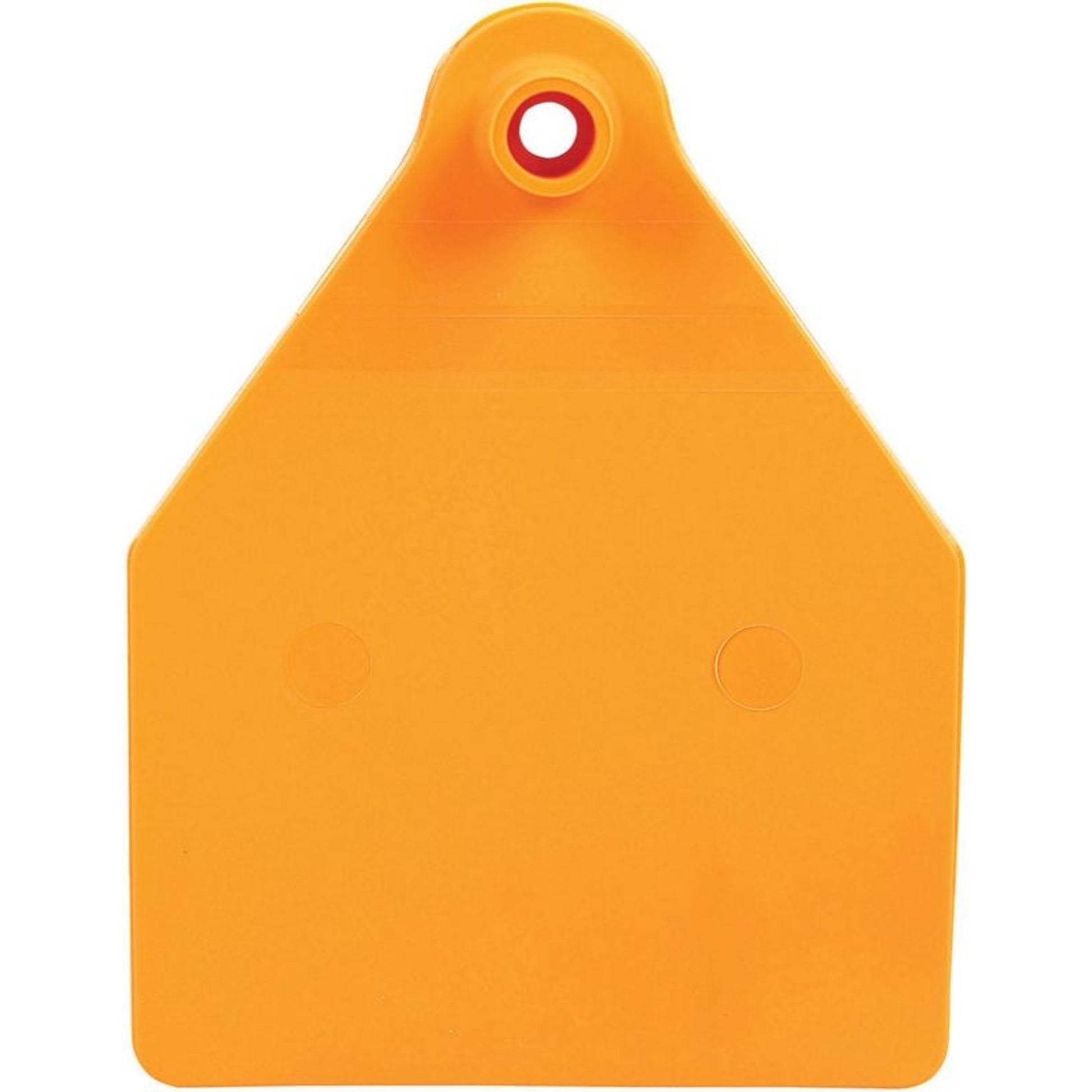 Agrilabs Maxi Agritag Tag Blank Green