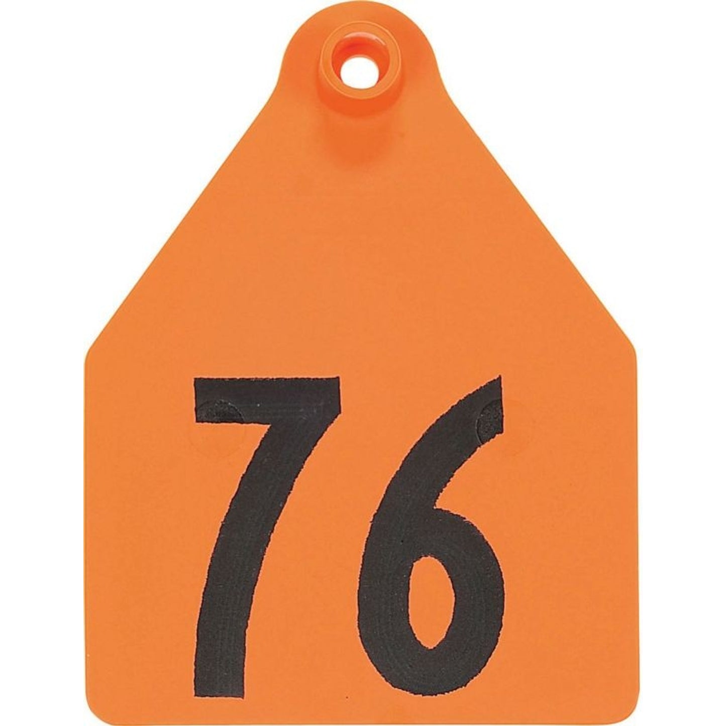 TH1296866.jpg
