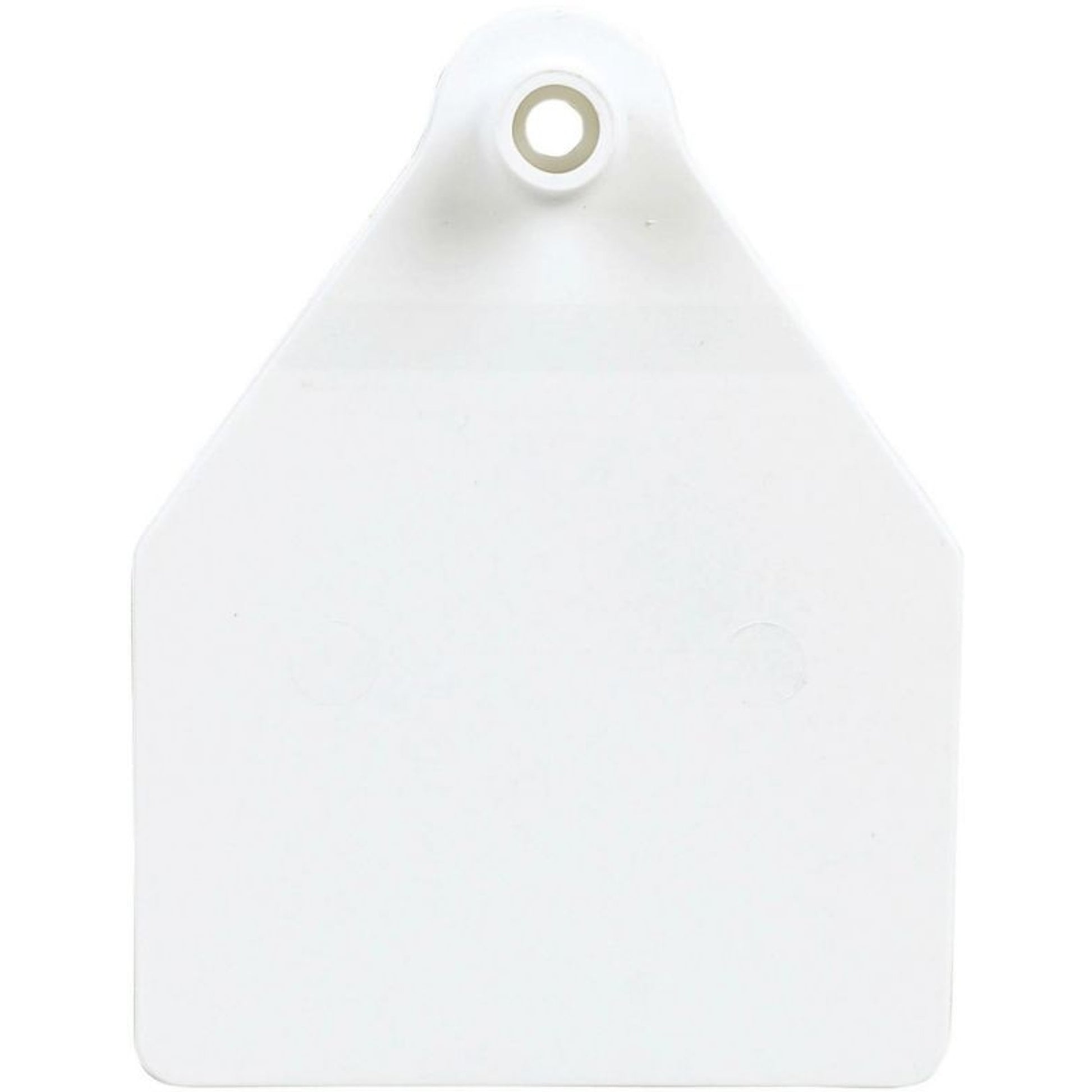 Agrilabs Maxi Agritag Tag Blank Green