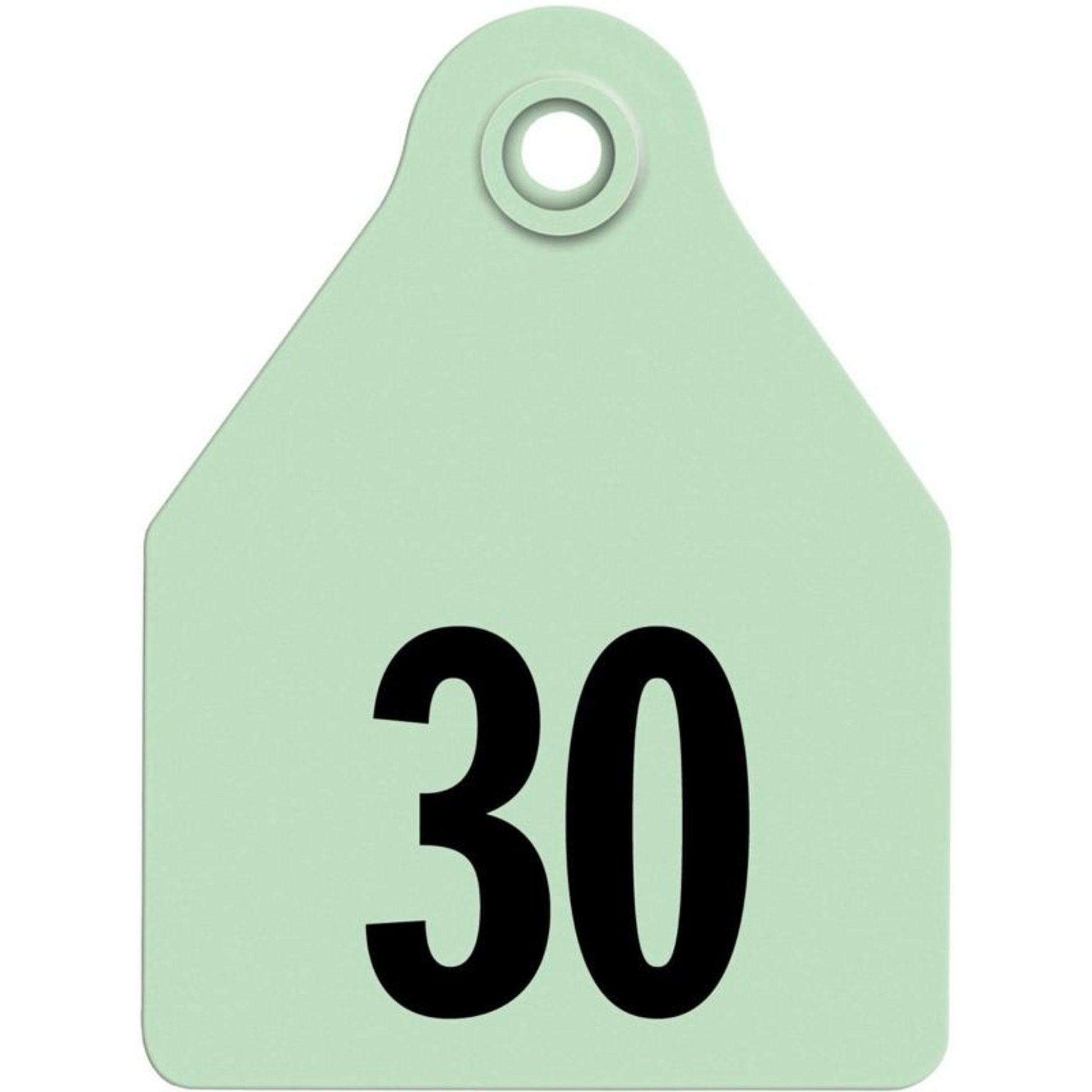 Agrilabs Large Agritag Tag Blank. 25 Pack Green