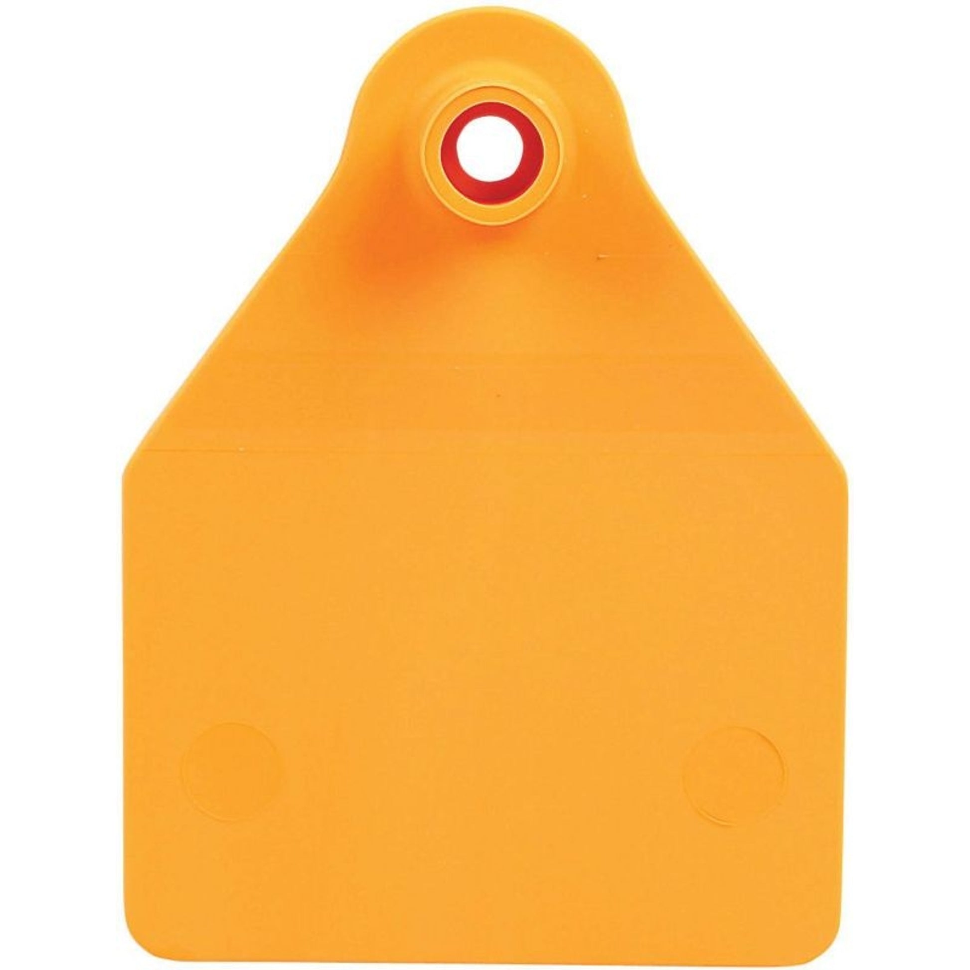 Agrilabs Large Agritag Tag Blank. 25 Pack Green