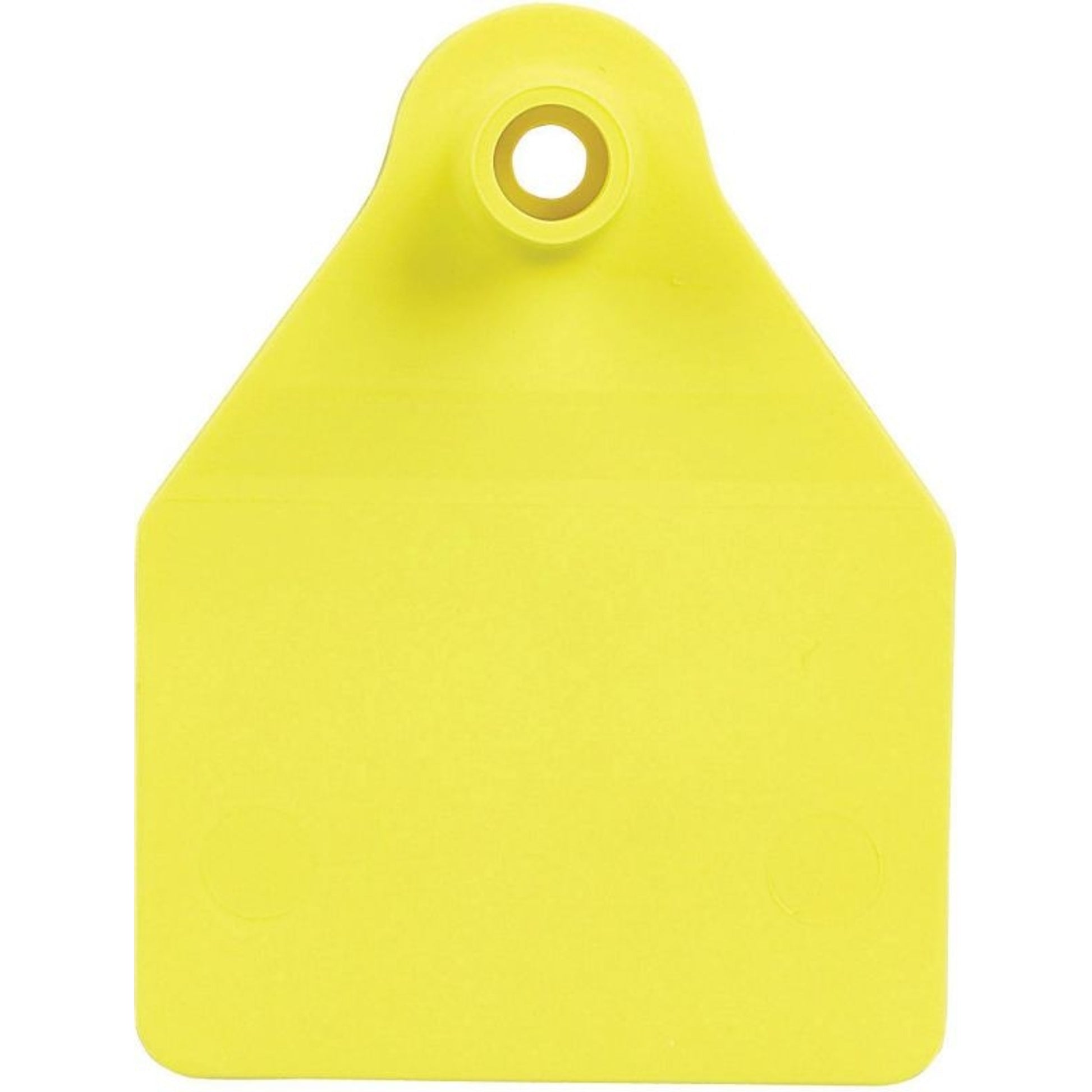 Agrilabs Large Agritag Tag Blank. 25 Pack Green