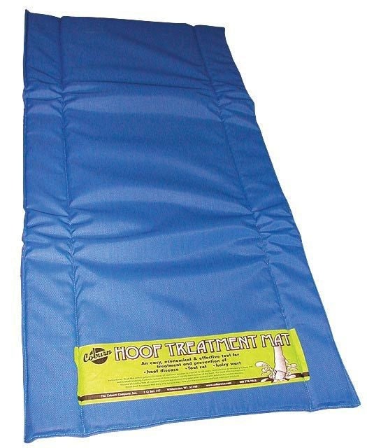 Hoof Treatment Mat 71in X 36in Blue