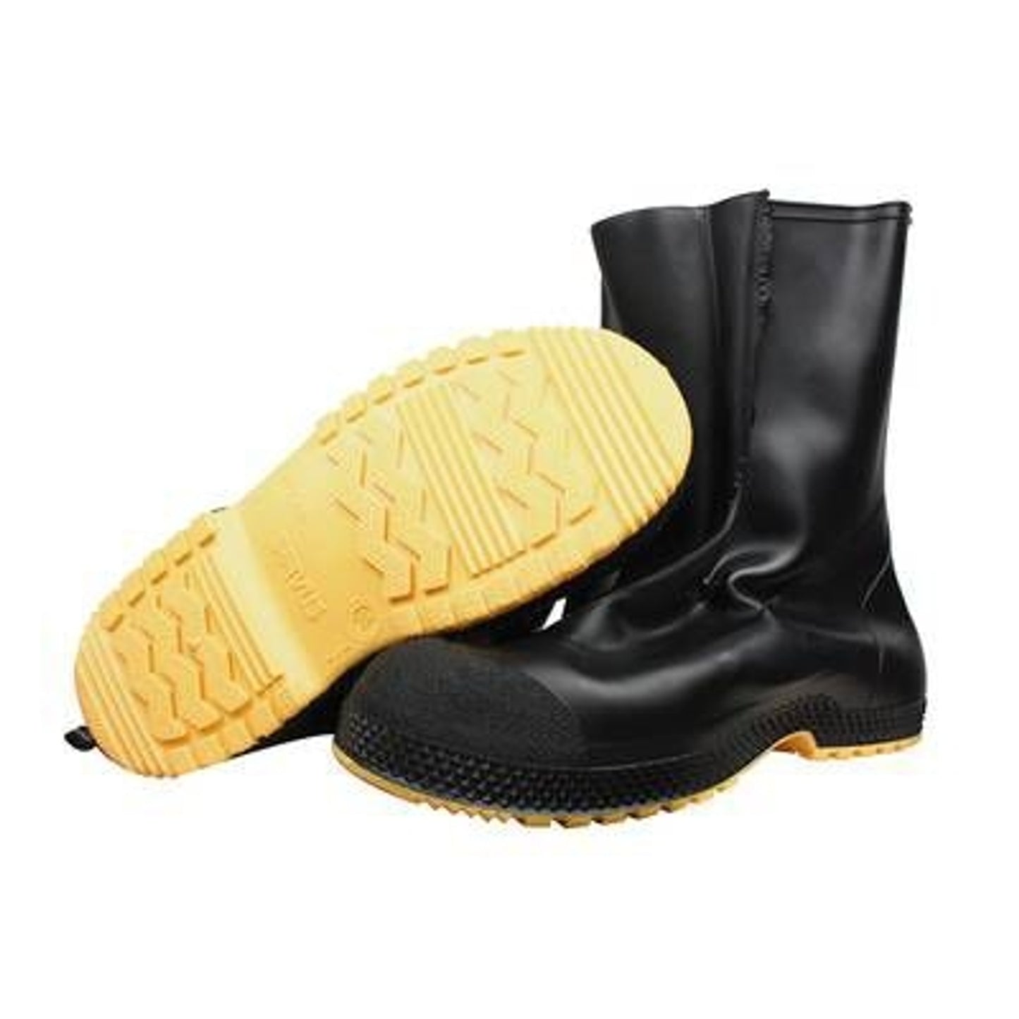 TH1299059.jpg