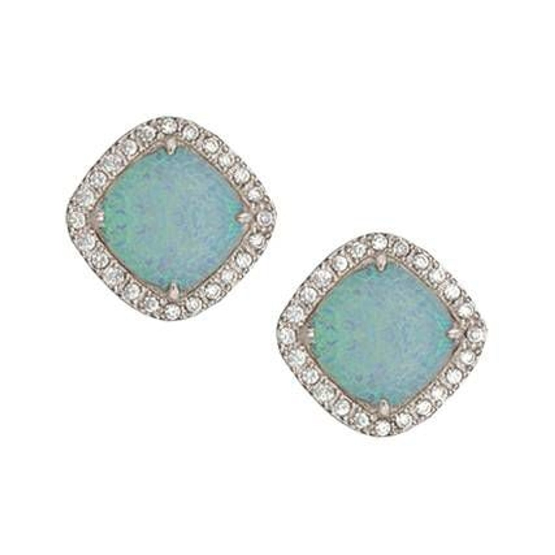 Montana River Lights Pools In Winter Post Earrings
