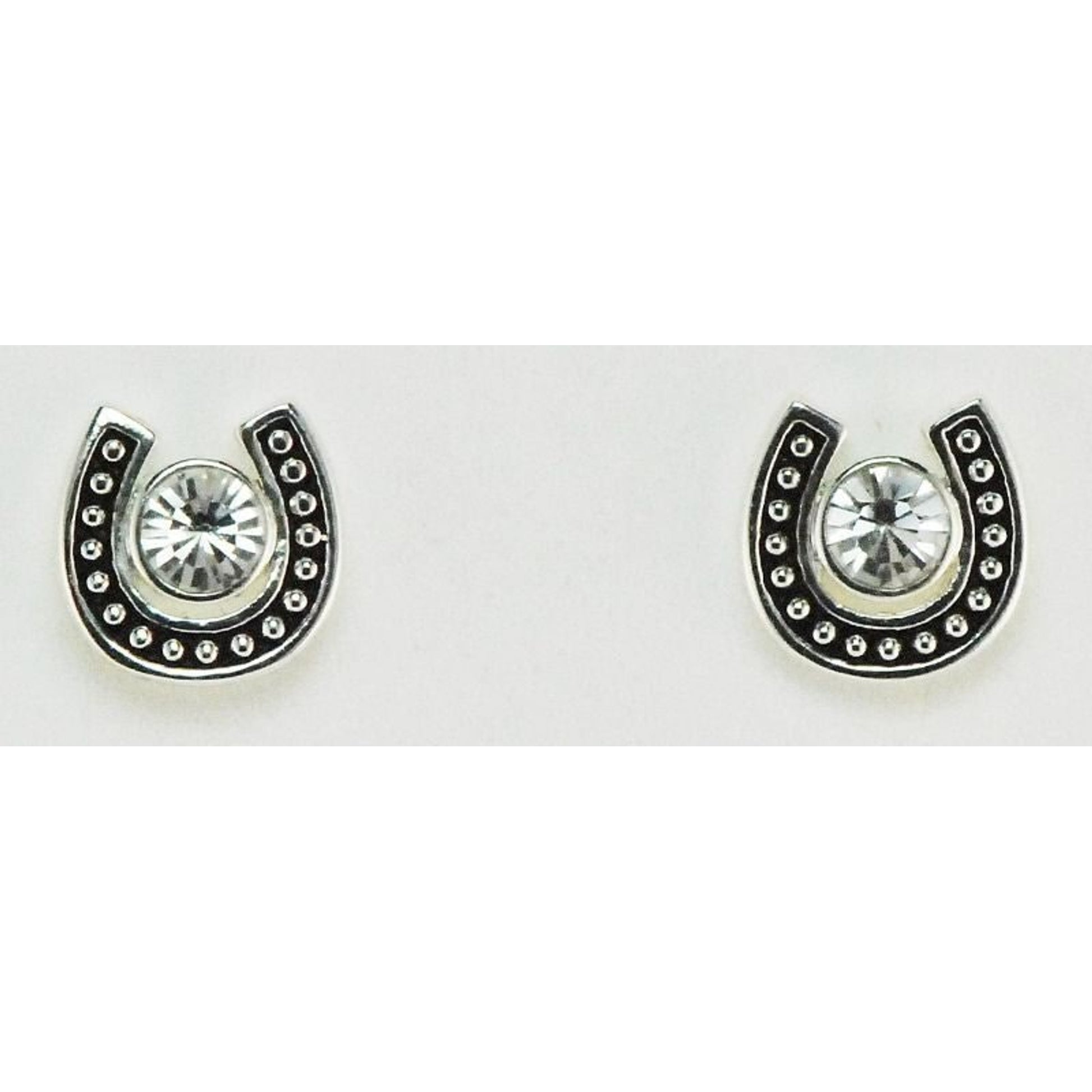 Western Edge Large Crystal Horseshoe Earrings