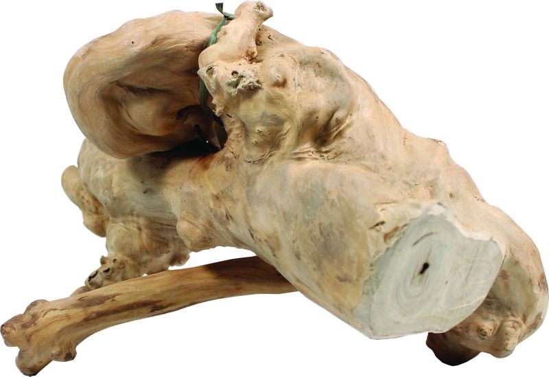 Java Wood Reptile Branch Small Natural