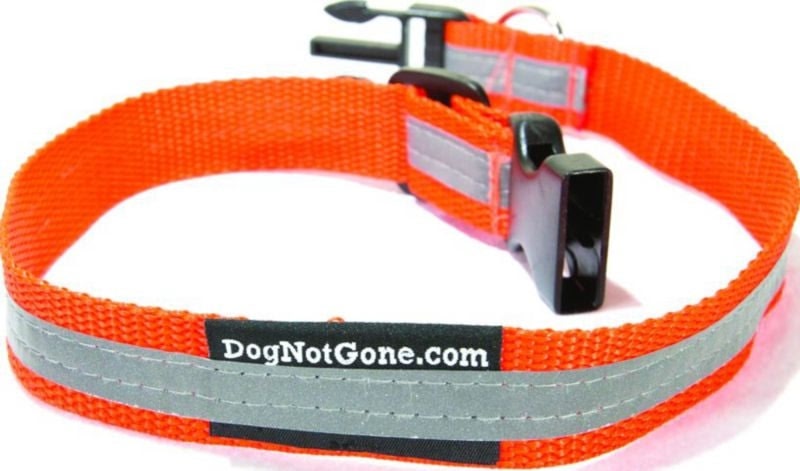 Dog Not Gone Reflective Collar LG/24 Orange