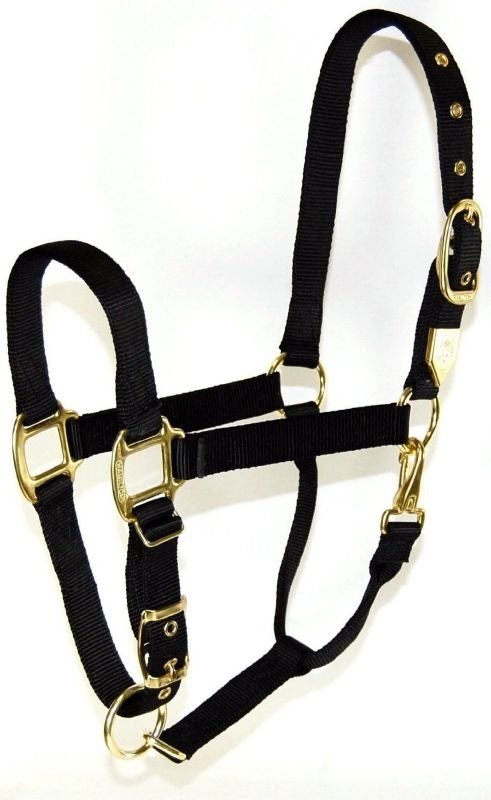Adjustable Chin Strap Halter With Snap Draft Black