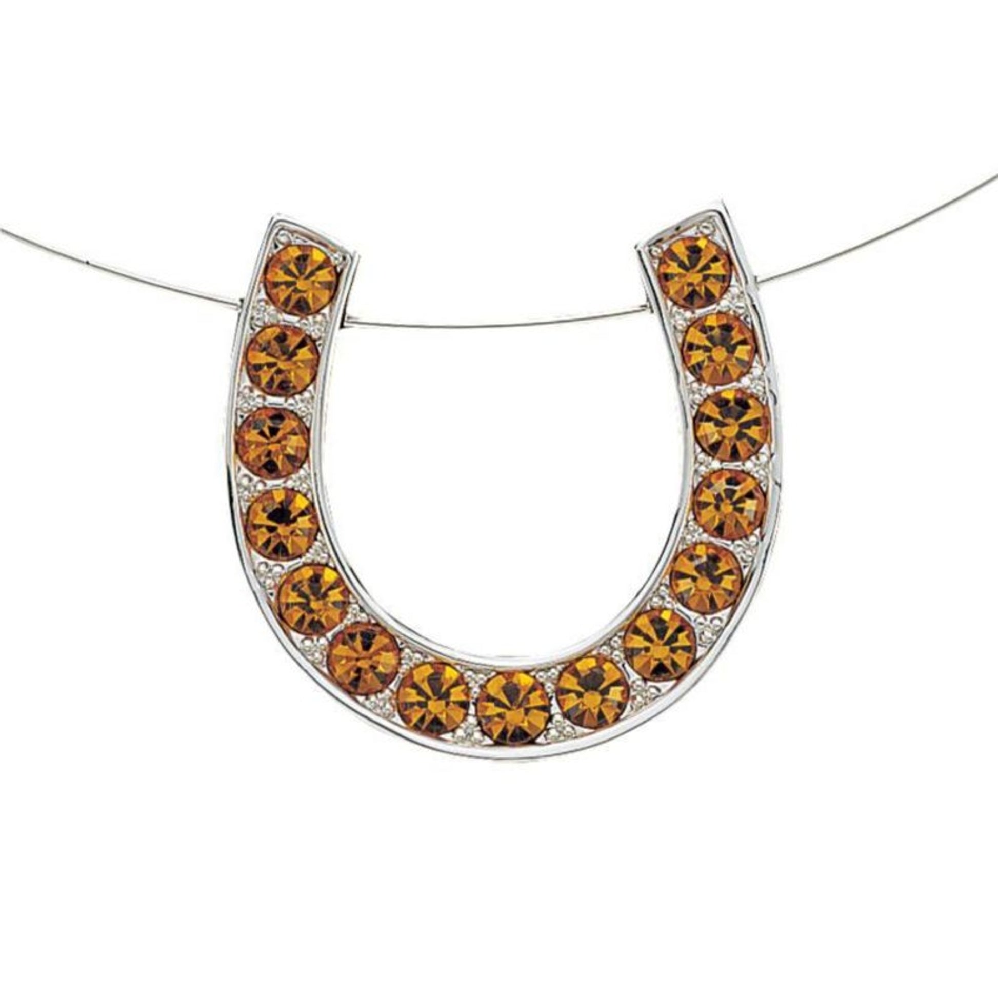 Montana Silver Choker with Rhinestone Horseshoe