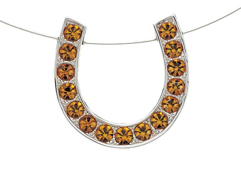 Montana Silver Choker with Rhinestone Horseshoe
