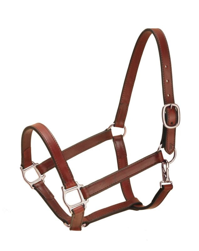 Tory Latigo Stable Halter Bk/Gry