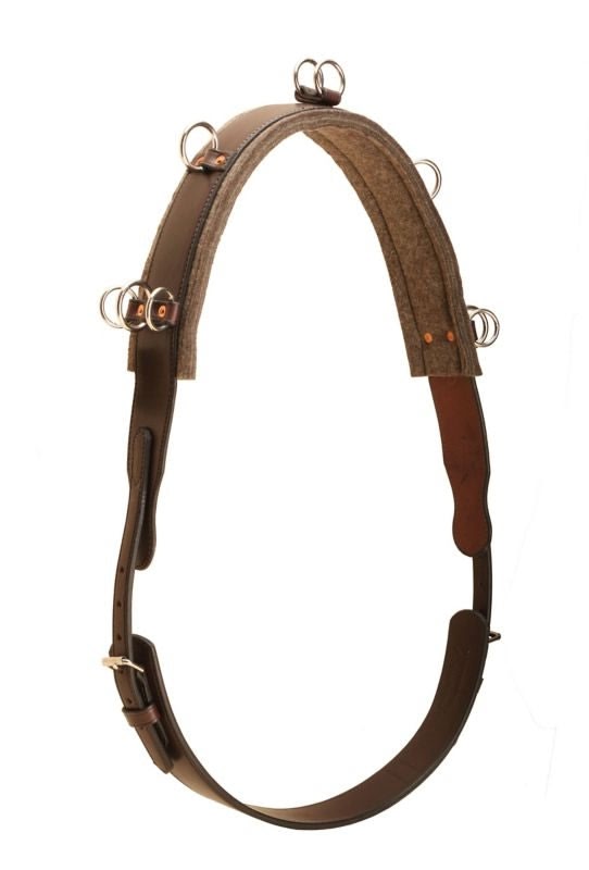 Tory English Bridle Leather Surcingle Havana