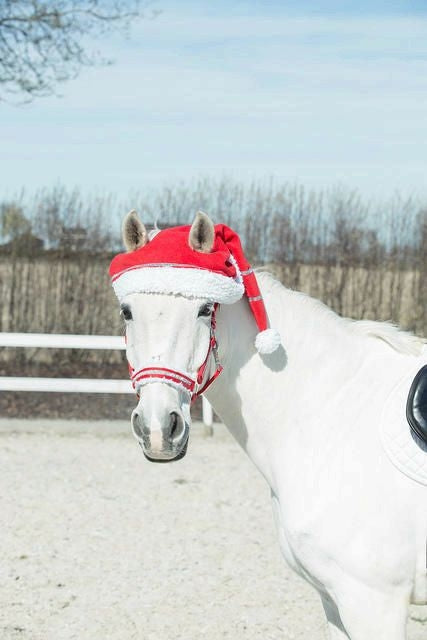 Horze Spirit Christmas Horse Cap Red