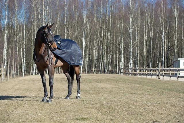 HorZe Supreme Avalanche Riding Sheet 66 Black