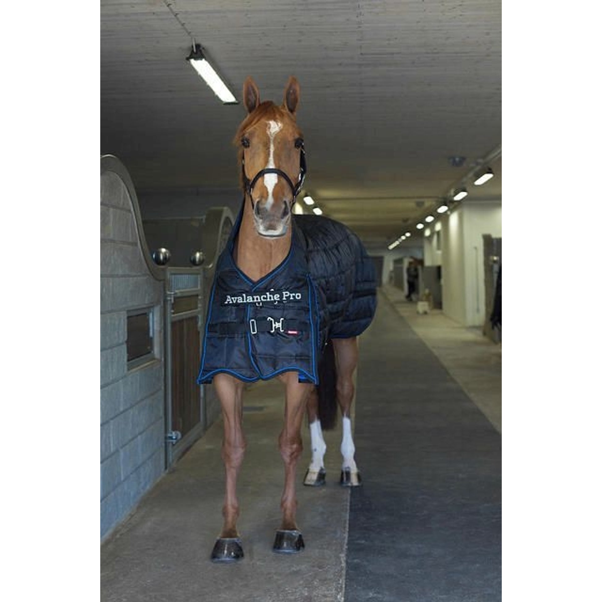Horze Avalanche Med Stable Blanket 250G