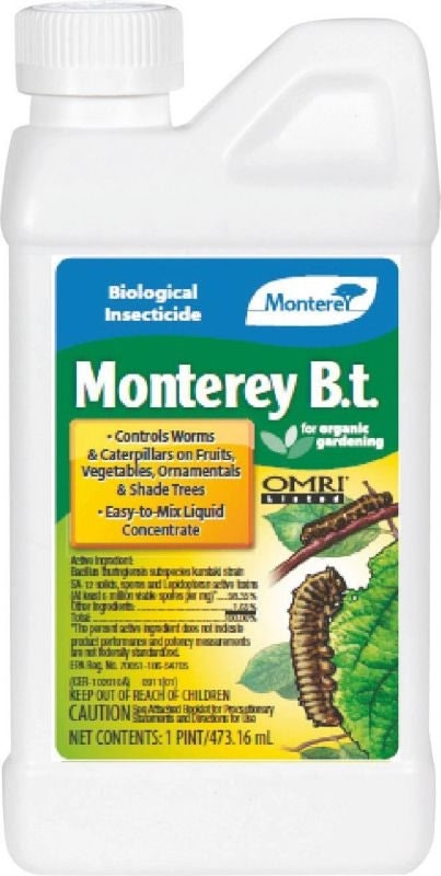 Monterey B.T. Concentrate 16oz