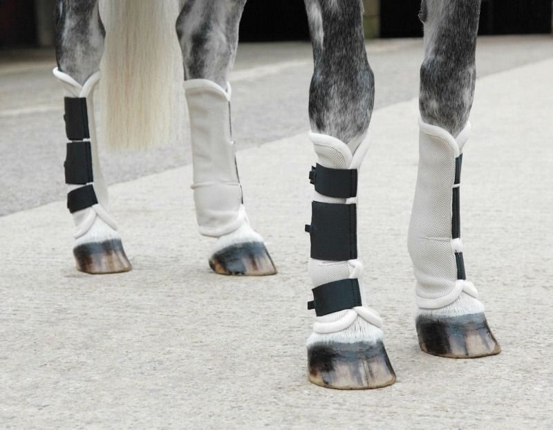 Shires Airflow Fly Boots Cob