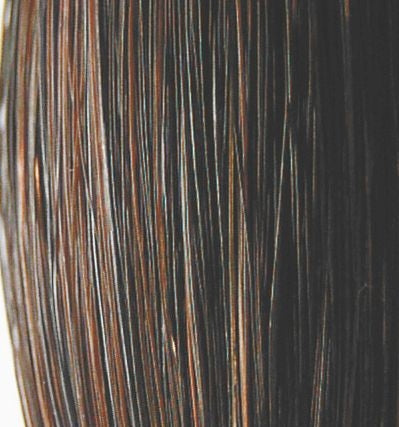 TH1367603.jpg