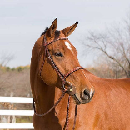 HorZe Champion Bridle Pony Light Brown