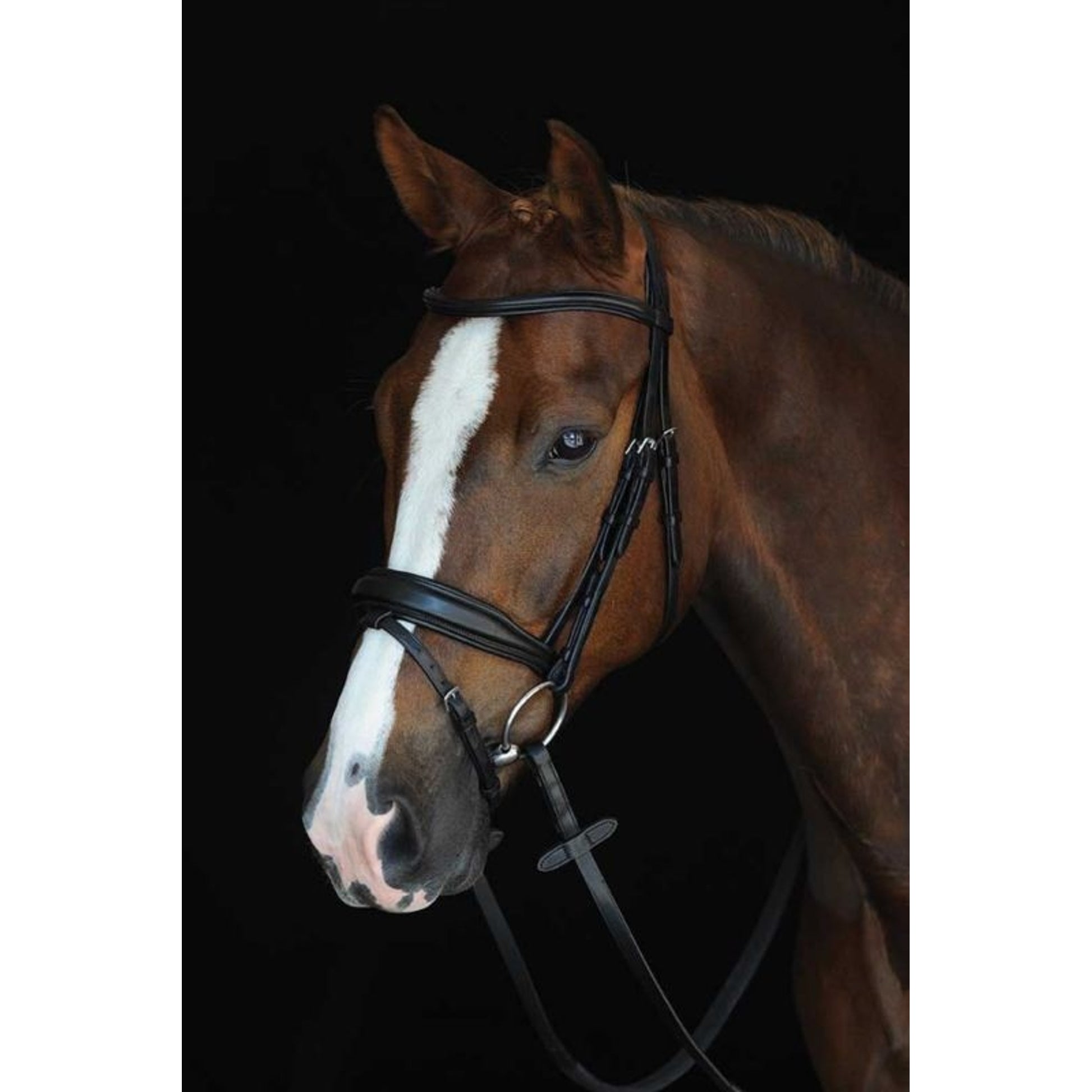 Collegiate Mono Crown Raised Flash